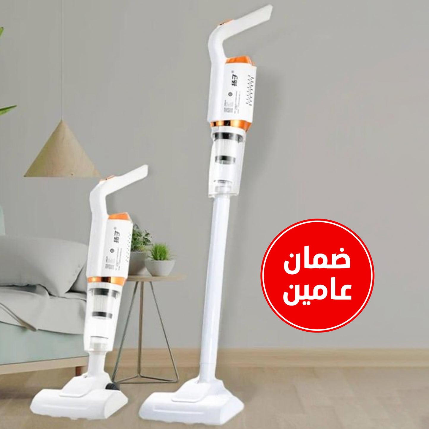 Pink Star 850g Vacuum Cleaner and Cordless 2-in-1 with 2-year warranty