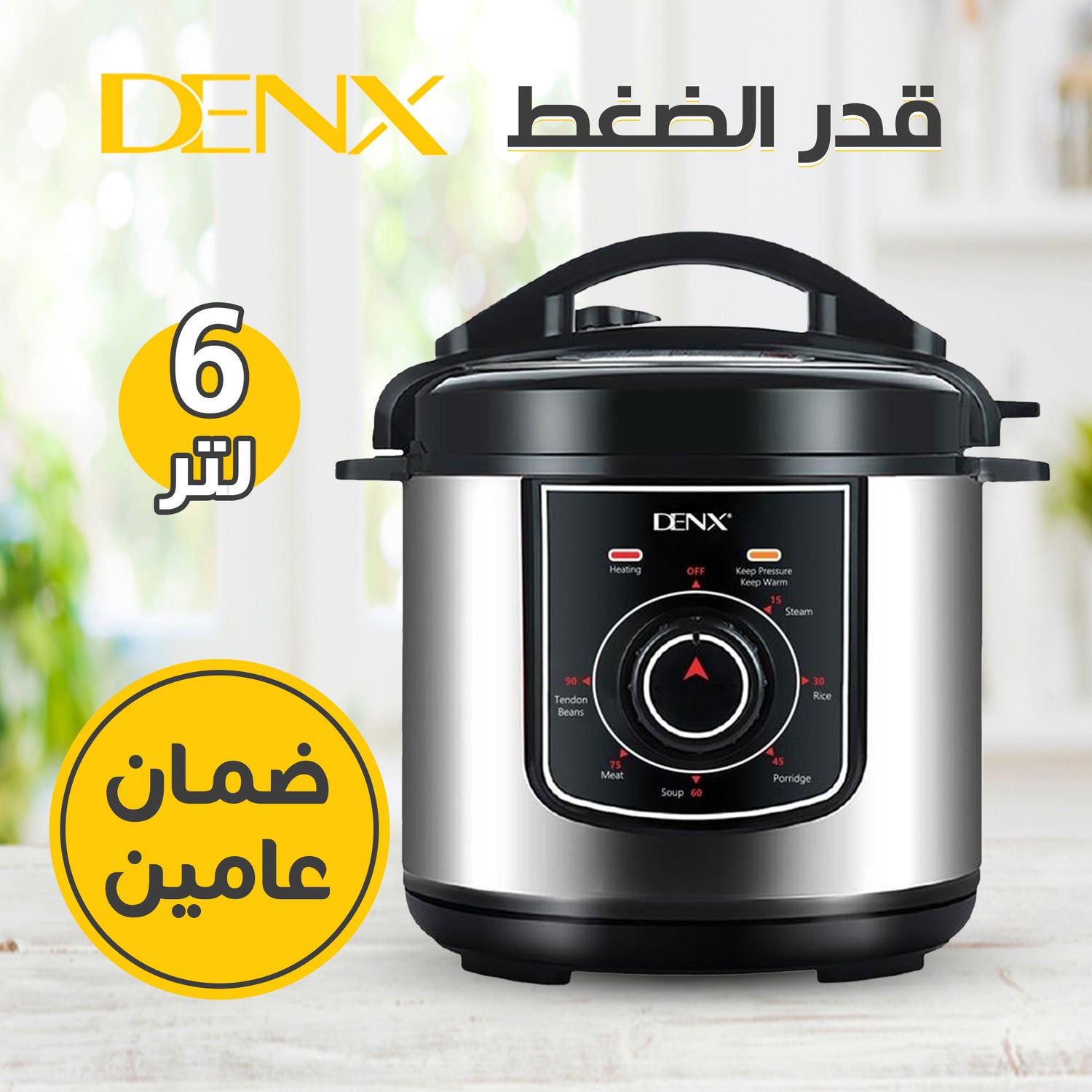 Denix 6L Pressure Cooker with 2-Year Warranty